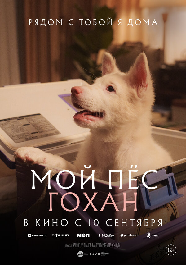 Мой пёс Гохан 2026 постер